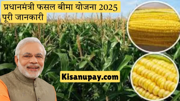 Pradhan-Mantri-Fasal Bima-Yojana-2025